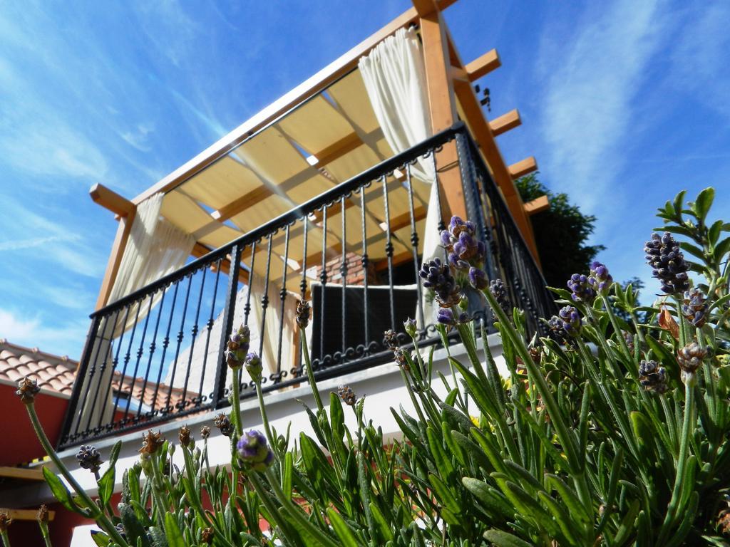 Villa House Of Milka Zadar Exterior foto